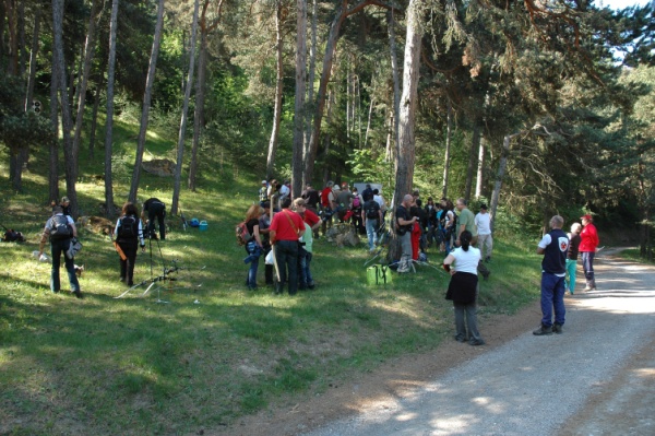 img-2-3